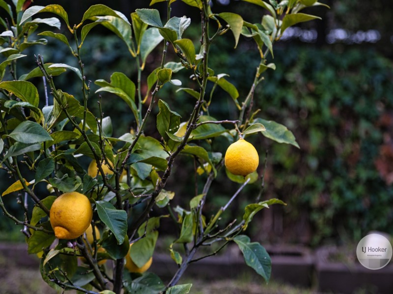 47 Woodlands Drive, Blackmans Bay TAS 7052