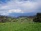 2250 Clifton Vale Road, Dysart TAS 7030