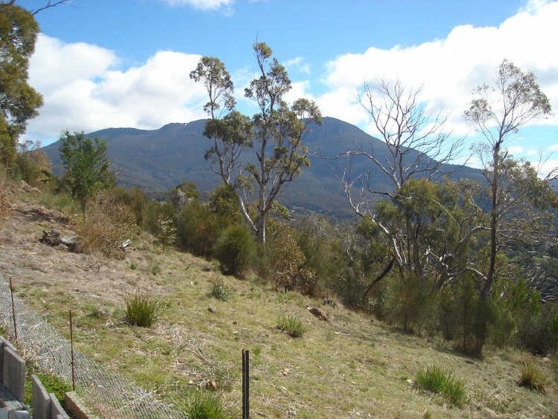 11 Woodridge Place, Tolmans Hill TAS 7007