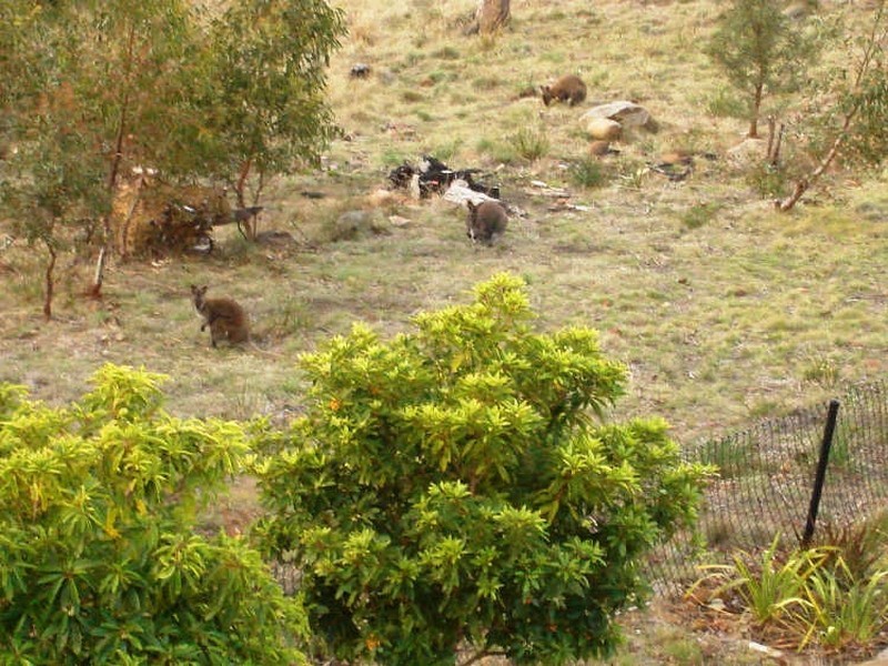 11 Woodridge Place, Tolmans Hill TAS 7007