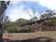 Acton Park TAS 7170