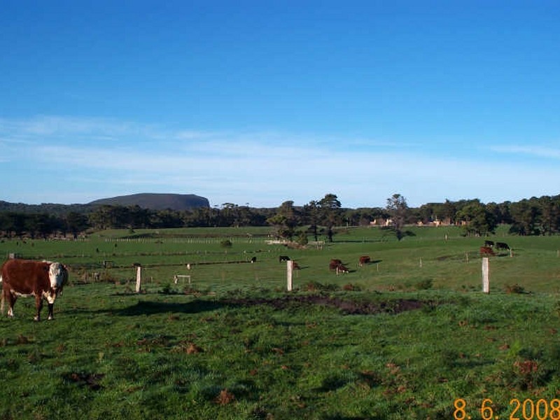 444 Safety Cove Road, Port Arthur TAS 7182