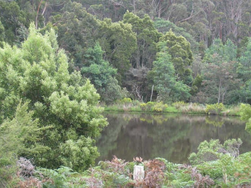 444 Safety Cove Road, Port Arthur TAS 7182