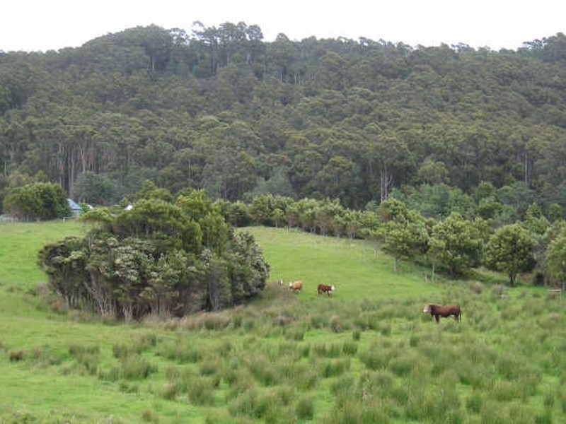 444 Safety Cove Road, Port Arthur TAS 7182