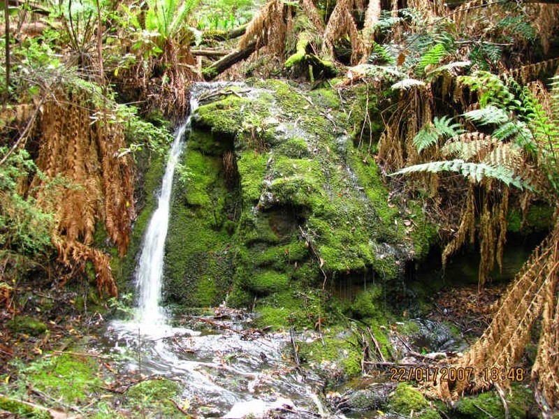 444 Safety Cove Road, Port Arthur TAS 7182