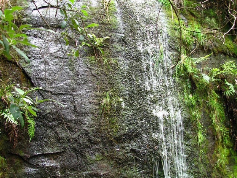 444 Safety Cove Road, Port Arthur TAS 7182