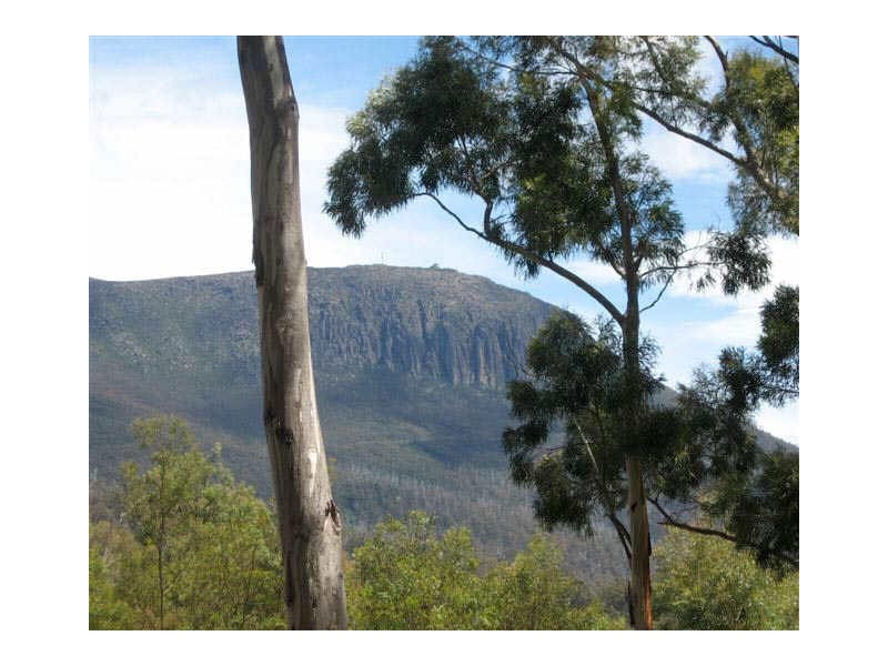 123 Summerleas Road, Fern Tree TAS 7054