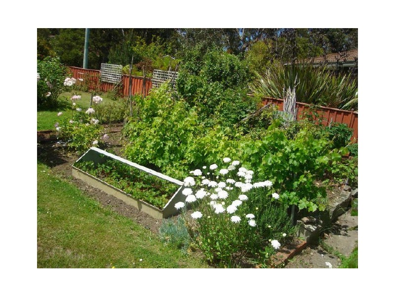 Mount Nelson TAS 7007