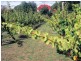 13569 Tasman Highway, Swansea TAS 7190