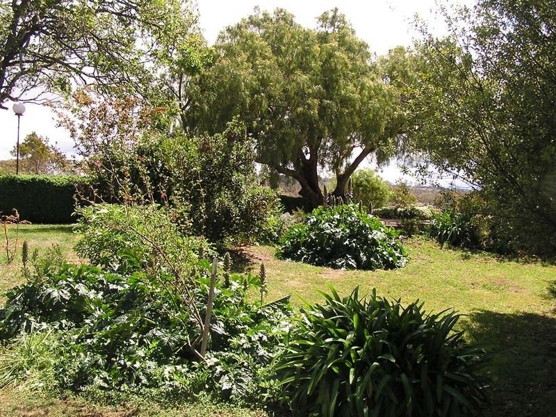 13569 Tasman Highway, Swansea TAS 7190
