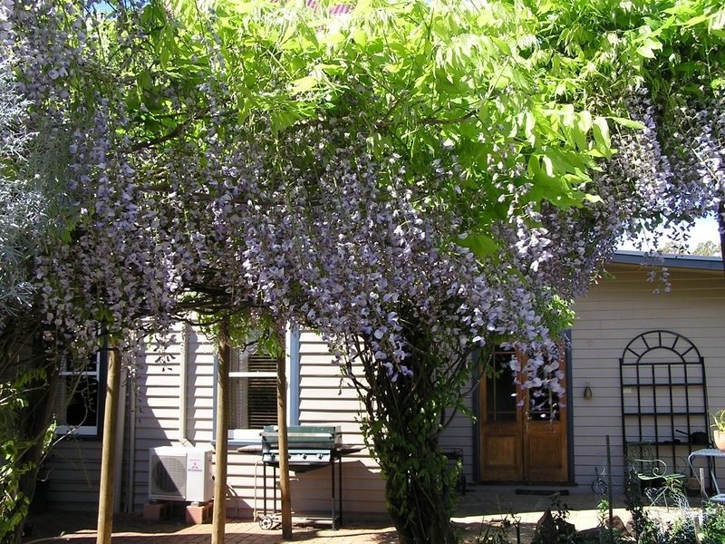 13569 Tasman Highway, Swansea TAS 7190