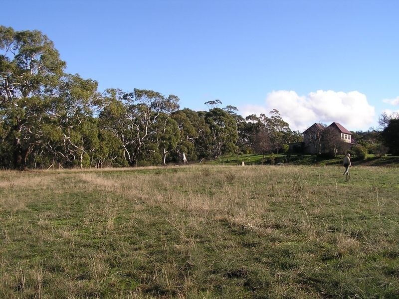13569 Tasman Highway, Swansea TAS 7190