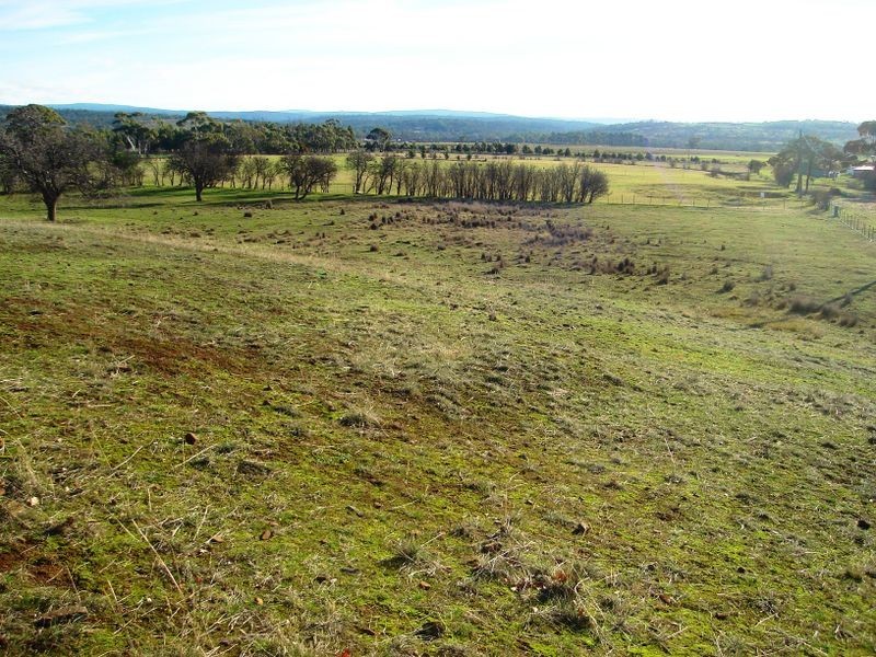 1/8 Dove Lane, Swansea TAS 7190