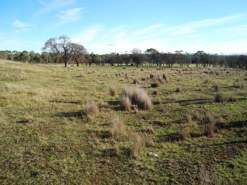 1/8 Dove Lane, Swansea TAS 7190