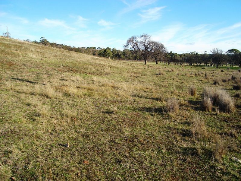 1/8 Dove Lane, Swansea TAS 7190