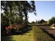 50 Gordon Street, Swansea TAS 7190