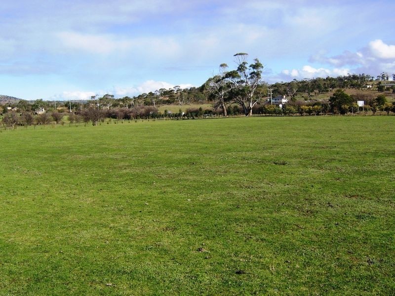 50 Gordon Street, Swansea TAS 7190