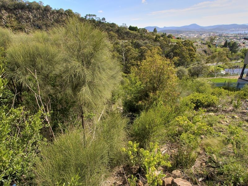 12 Oberon Court, Dynnyrne TAS 7005