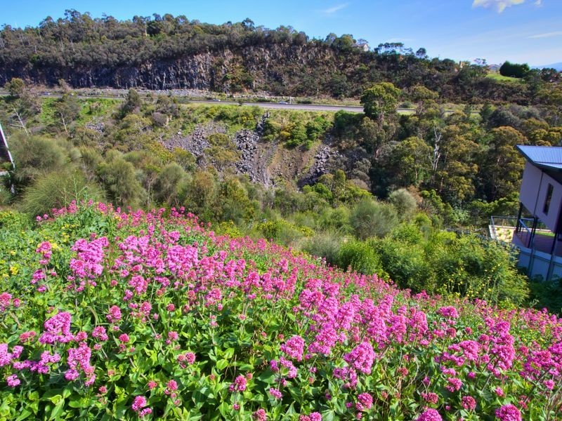 12 Oberon Court, Dynnyrne TAS 7005