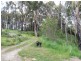 Lot 2 Huon Highway, Geeveston TAS 7116