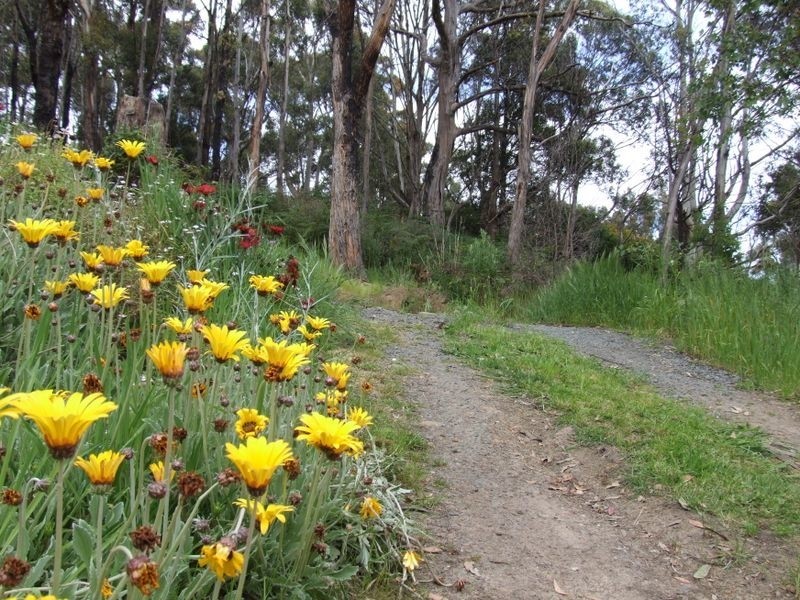 Lot 2 Huon Highway, Geeveston TAS 7116