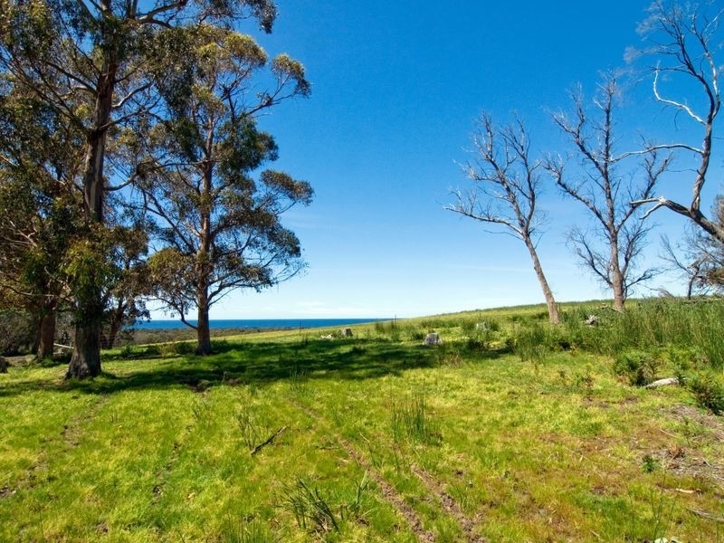 Lot 3 Burnt Hill Road, Marion Bay TAS 7175