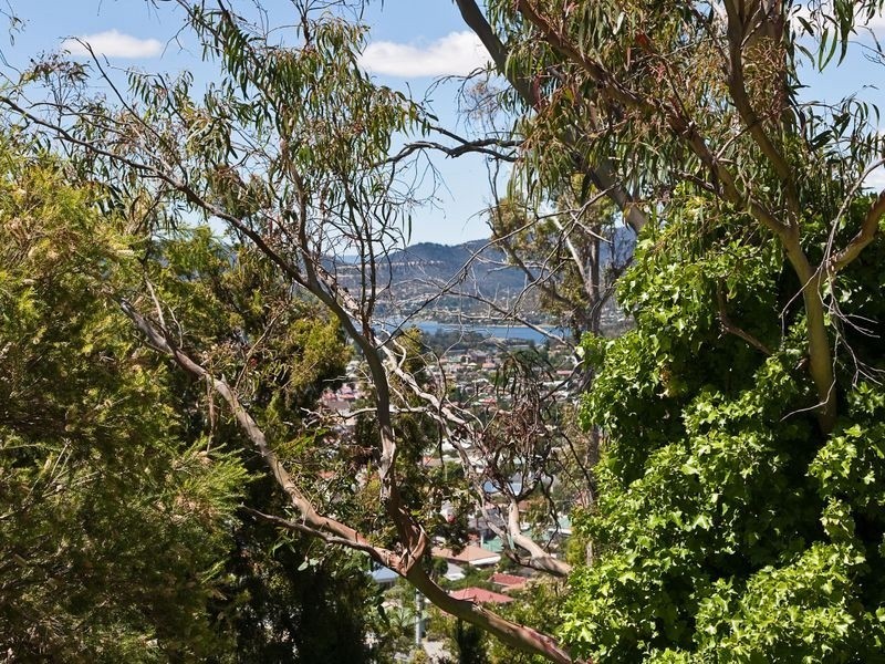 16 Jabez Crescent, Lenah Valley TAS 7008