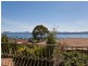 12 Hatton Gardens, Sandy Bay TAS 7005