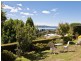 22 Beddome Street, Sandy Bay TAS 7005
