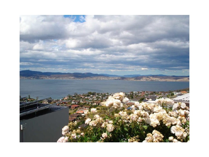 1/28 Marlborough Street, Sandy Bay TAS 7005