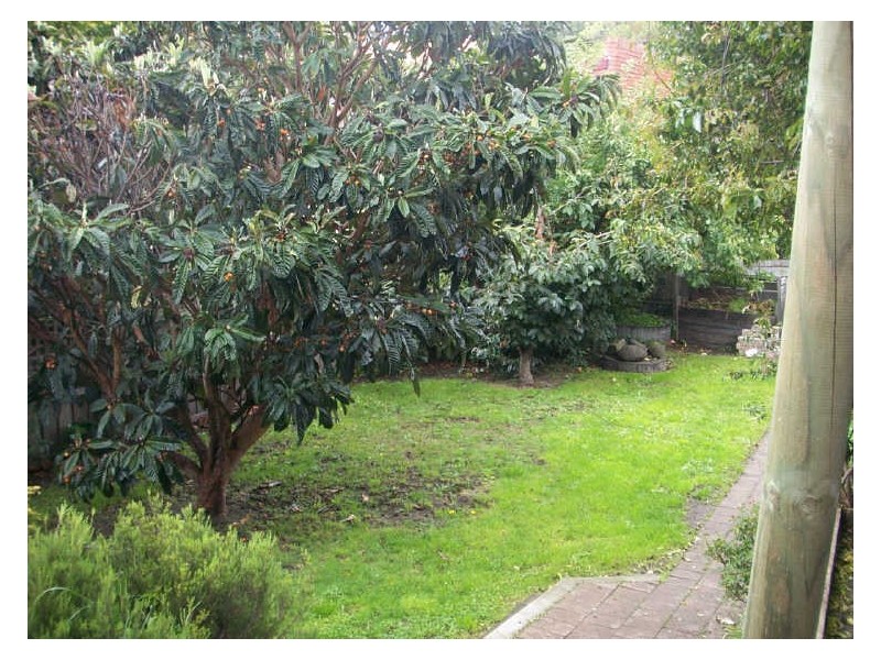 7 Cross Street, New Town TAS 7008