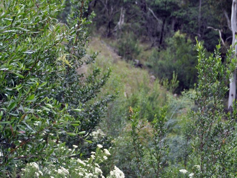 6 Skyline Drive, Howrah TAS 7018