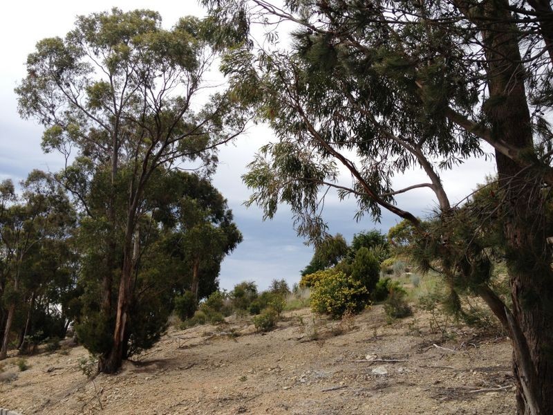 1/4 Lucia Court, Glenorchy TAS 7010