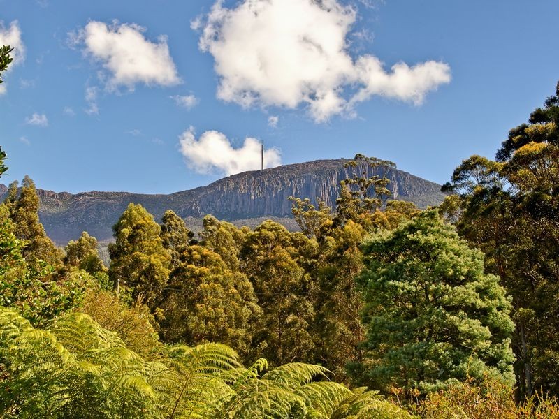 311 Strickland Avenue, South Hobart TAS 7004