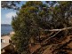 28 Nicholas Drive, Sandy Bay TAS 7005