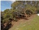 28 Nicholas Drive, Sandy Bay TAS 7005