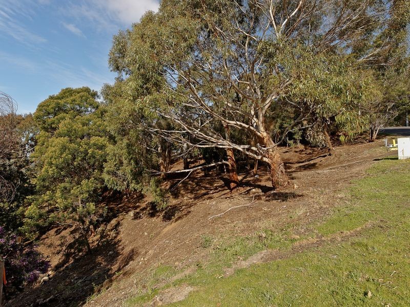 28 Nicholas Drive, Sandy Bay TAS 7005