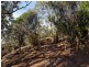 28 Nicholas Drive, Sandy Bay TAS 7005