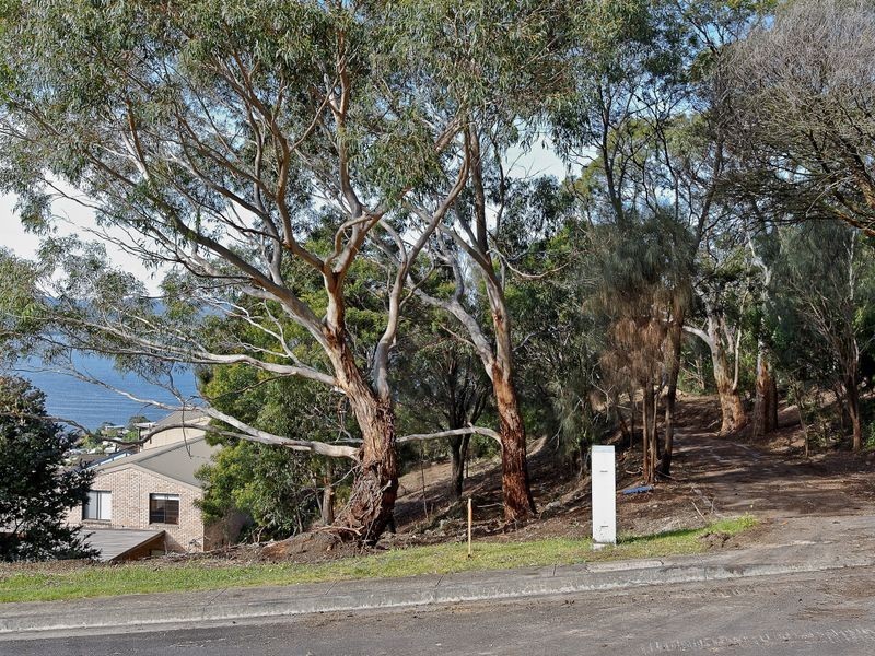 28 Nicholas Drive, Sandy Bay TAS 7005