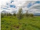 49 Tea Tree Road, Campania TAS 7026