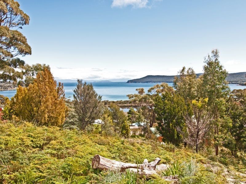 73 Lagoon Road, White Beach TAS 7184