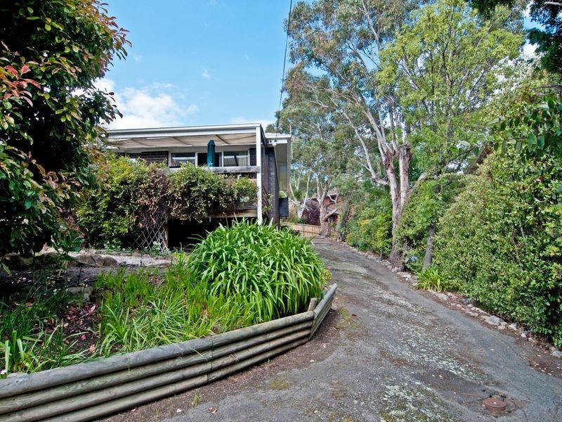 52 Mawhera Avenue, Sandy Bay TAS 7005