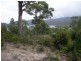 Lot 5 George Street, Nubeena TAS 7184