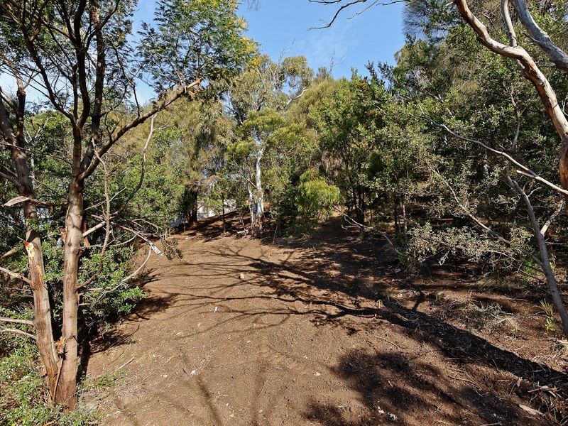 30 Nicholas Drive, Sandy Bay TAS 7005