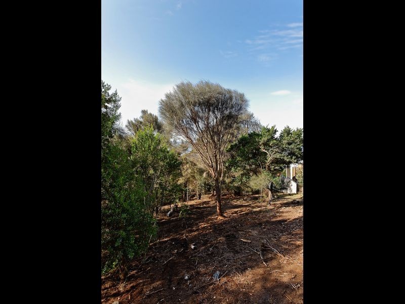 30 Nicholas Drive, Sandy Bay TAS 7005