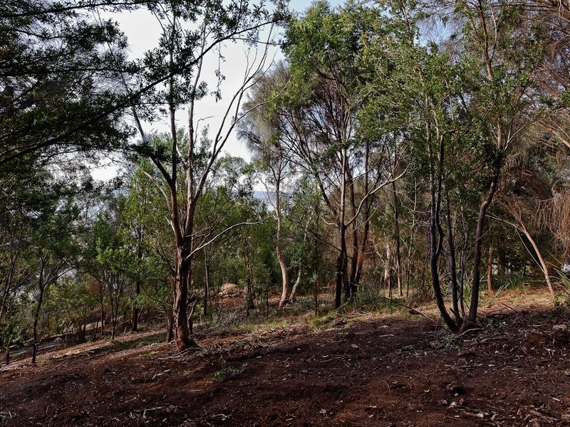 30 Nicholas Drive, Sandy Bay TAS 7005