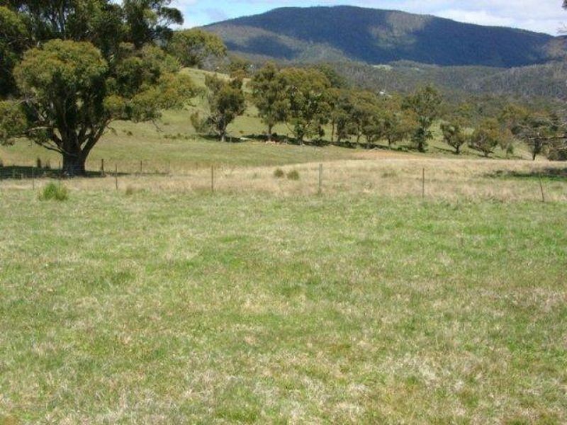 117 Menzies Road, Lachlan TAS 7140
