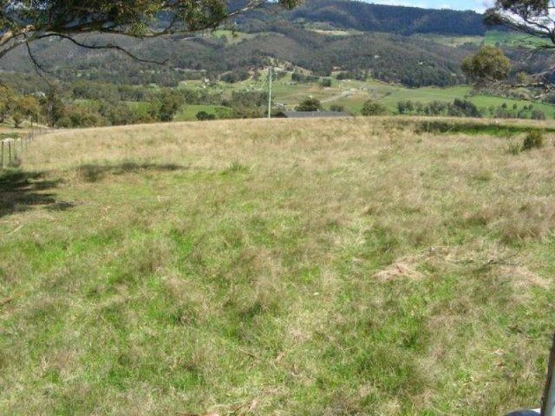 117 Menzies Road, Lachlan TAS 7140
