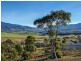 44 Landermere Drive, Honeywood TAS 7017