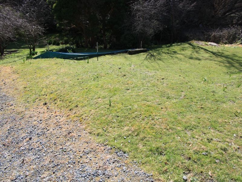 2/178 Waterworks Road, Dynnyrne TAS 7005